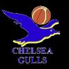 https://img.longzhuzhiboq.com.cn/img/basketball/team/0d36b73786230e17d7d718ab10adab87.png