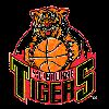 https://img.longzhuzhiboq.com.cn/img/basketball/team/c396165af2b9468b95db1864473952bb.png