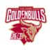 https://img.longzhuzhiboq.com.cn/img/basketball/team/d1d77f07287fe840a7e77459e5bd1bfc.png