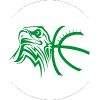 https://img.longzhuzhiboq.com.cn/img/basketball/team/d69599128896984f9b35ae8610dab3d7.png