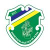 https://img.longzhuzhiboq.com.cn/img/football/team/079dd394cc2355231bb0aee65bd140a2.png