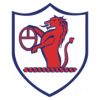 https://img.longzhuzhiboq.com.cn/img/football/team/11fb72f7b5eacfc881ee11bac75871fa.png