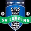 https://img.longzhuzhiboq.com.cn/img/football/team/461d9cd3e3800f50409cf618de76159c.png