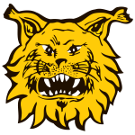 https://img.longzhuzhiboq.com.cn/img/football/team/9f170a9ffc15b4141b790f4ff042cc51.png