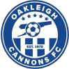 https://img.longzhuzhiboq.com.cn/img/football/team/c57774951b3b354cd3d1e0237087a661.png