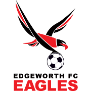 https://img.longzhuzhiboq.com.cn/img/football/team/e2b97426d7625e5cd01538ee80f50d2a.png